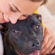 4 tips to keep your pet safe during the  holidays