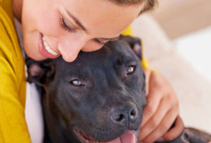 4 tips to keep your pet safe during the  holidays