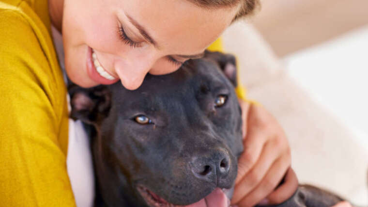 4 tips to keep your pet safe during the  holidays